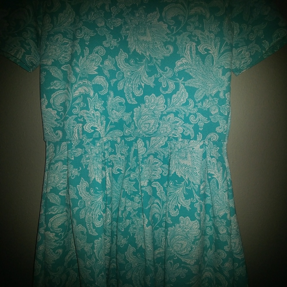 Lularoe Amelia large